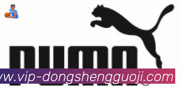 东升国际棋牌合作伙伴